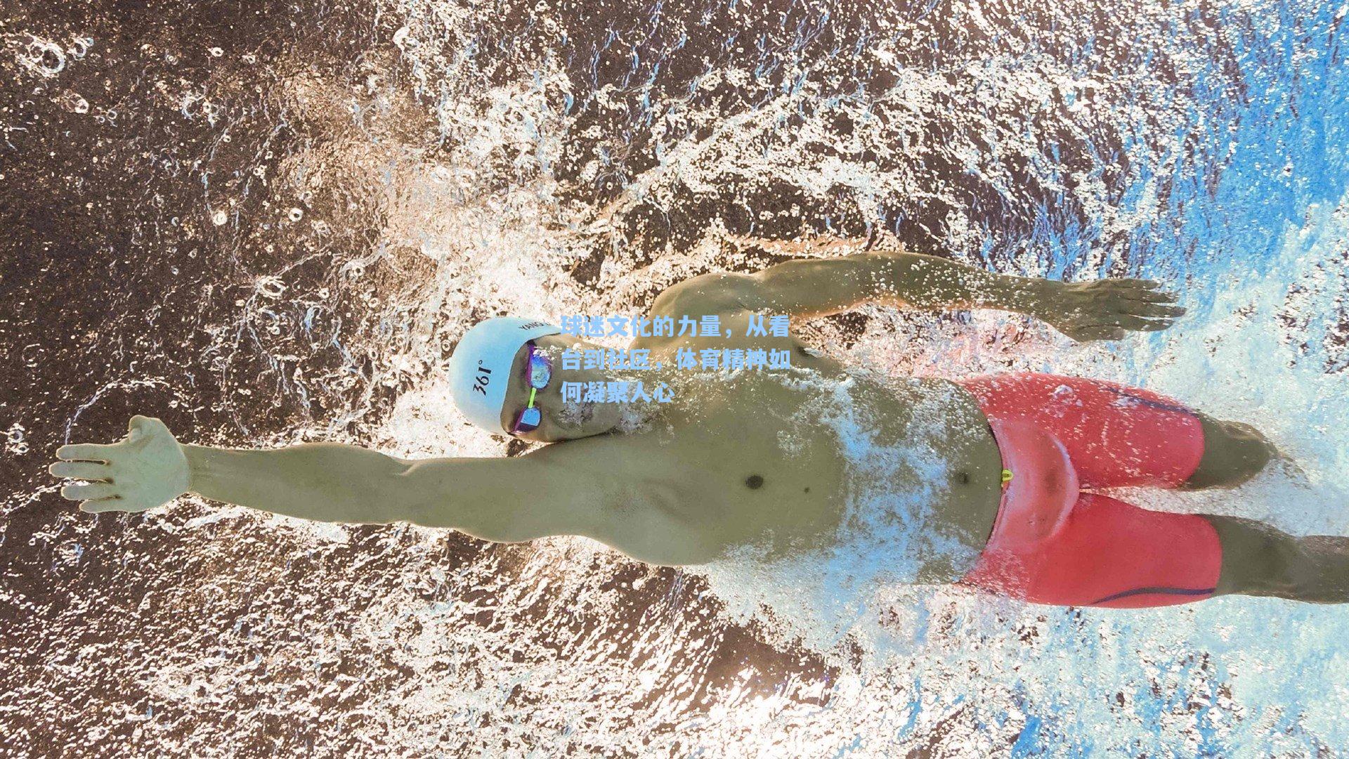 球迷文化的力量，从看台到社区，体育精神如何凝聚人心