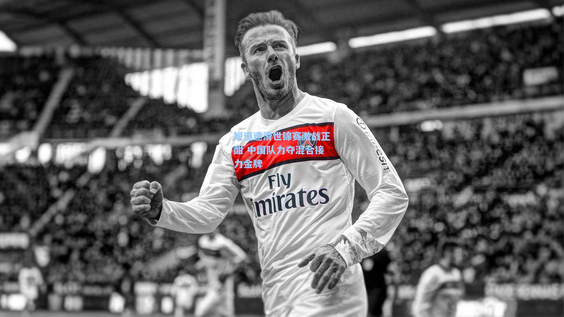 短道速滑世锦赛激战正酣 中国队力夺混合接力金牌